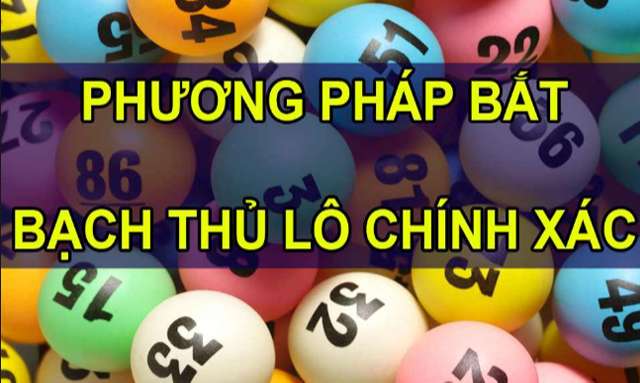 Cách bắt lô bạch thủ chính xác nhất